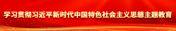 骚美女日b学习贯彻习近平新时代中国特色社会主义思想主题教育